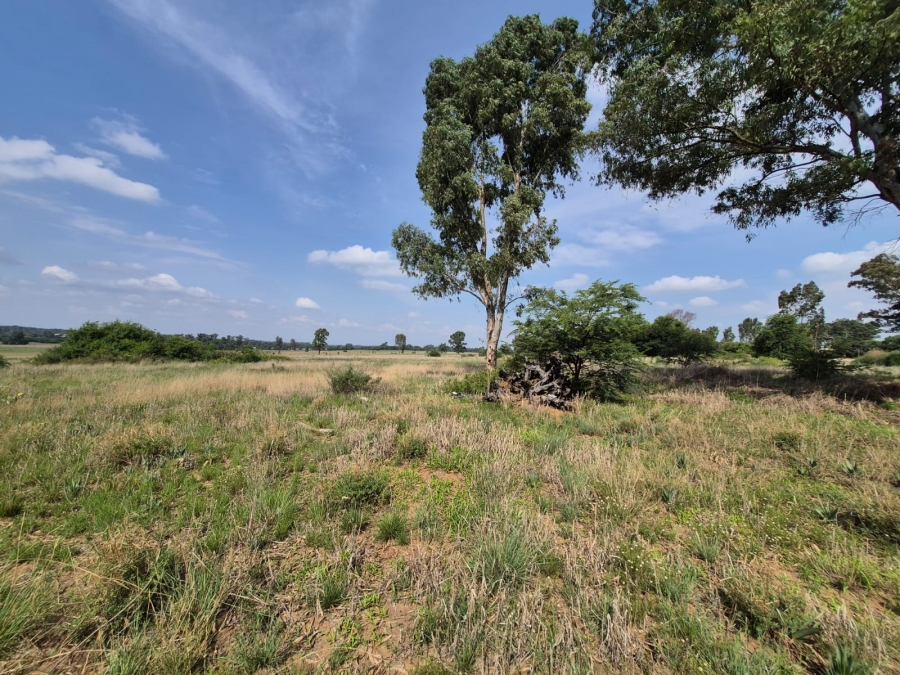 0 Bedroom Property for Sale in Vaalpark Free State